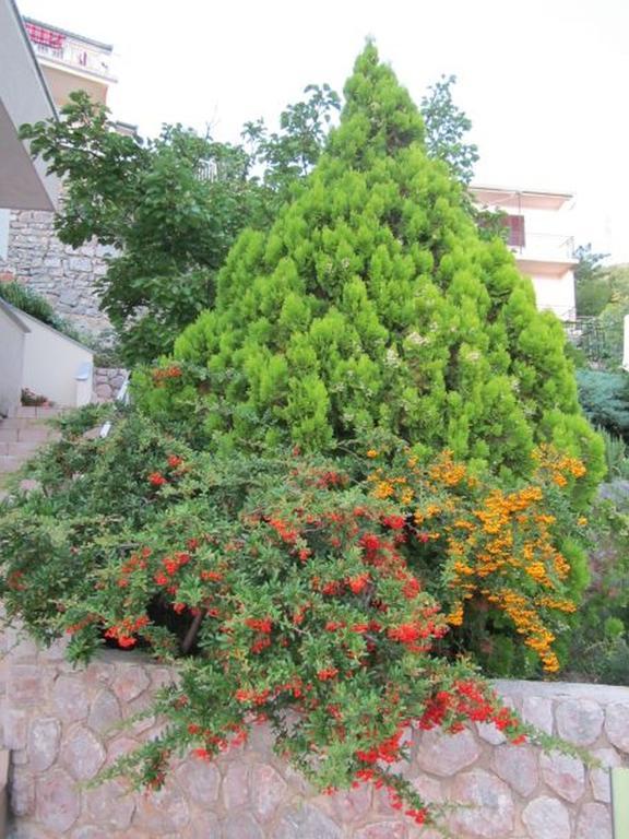 Apartments Bobinac Senj  Rom bilde